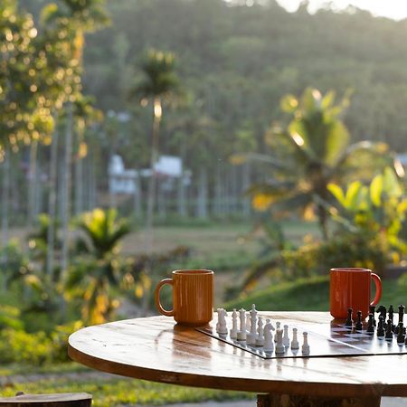 Stayvista At The Big Chill With Breakfast Included Wayanad Exteriör bild