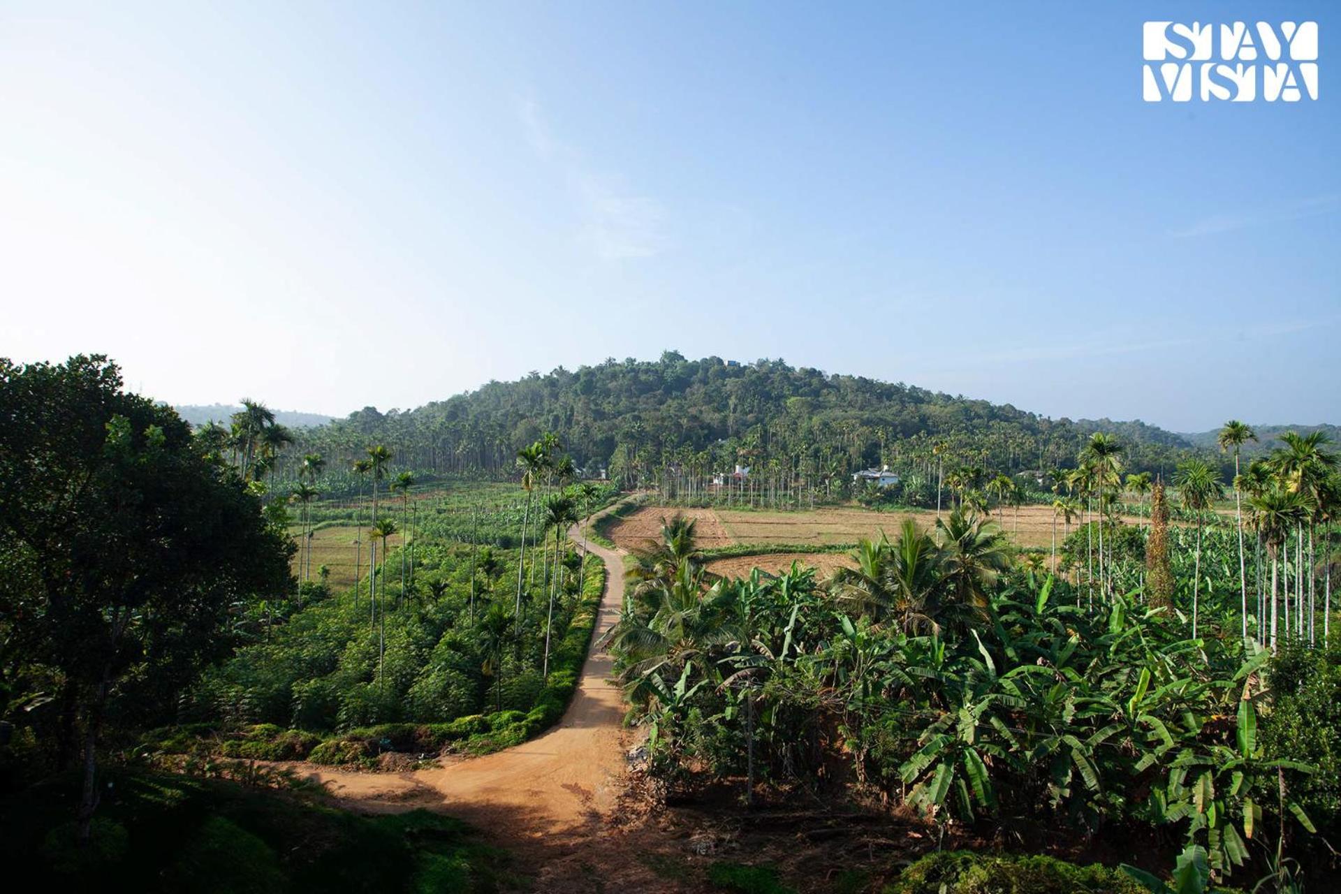 Stayvista At The Big Chill With Breakfast Included Wayanad Exteriör bild